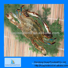 Blue swimming crab price of fresh crab